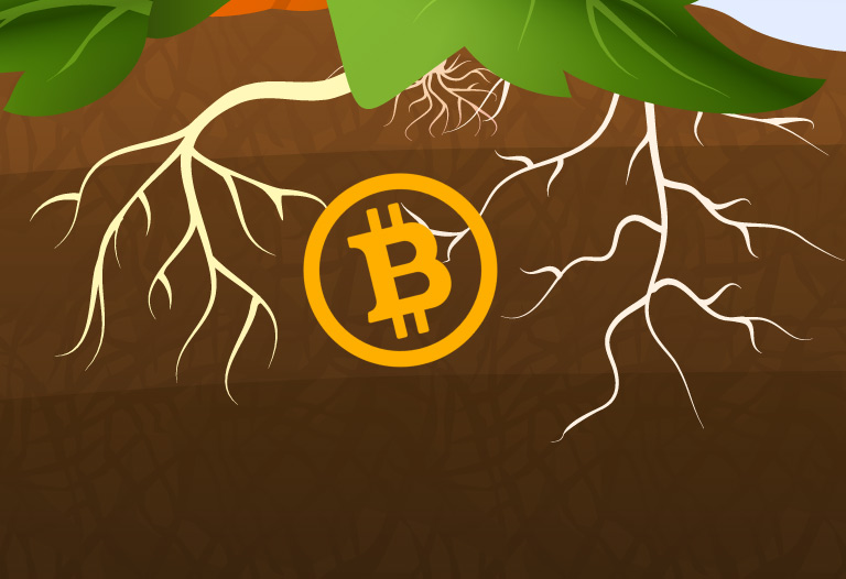 Qué-es-Bitcoin-taproot