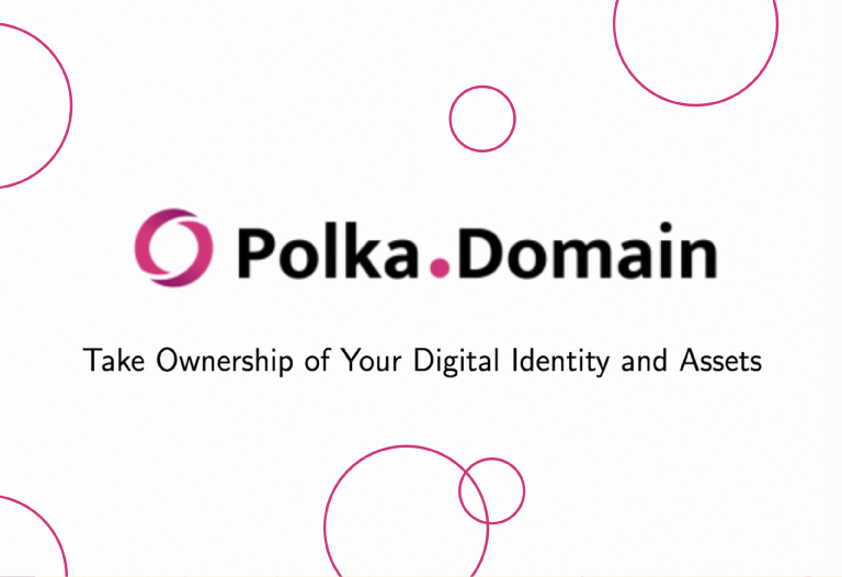 ¿Qué es PolkaDomain?