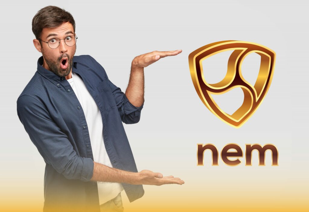 ¿Que es NEM?