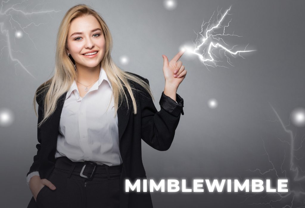 Qu’est-ce que Mimblewimble et comment fonctionne-t-il ?