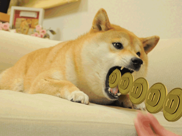 bitnovo_wallet_dogecoin_segura