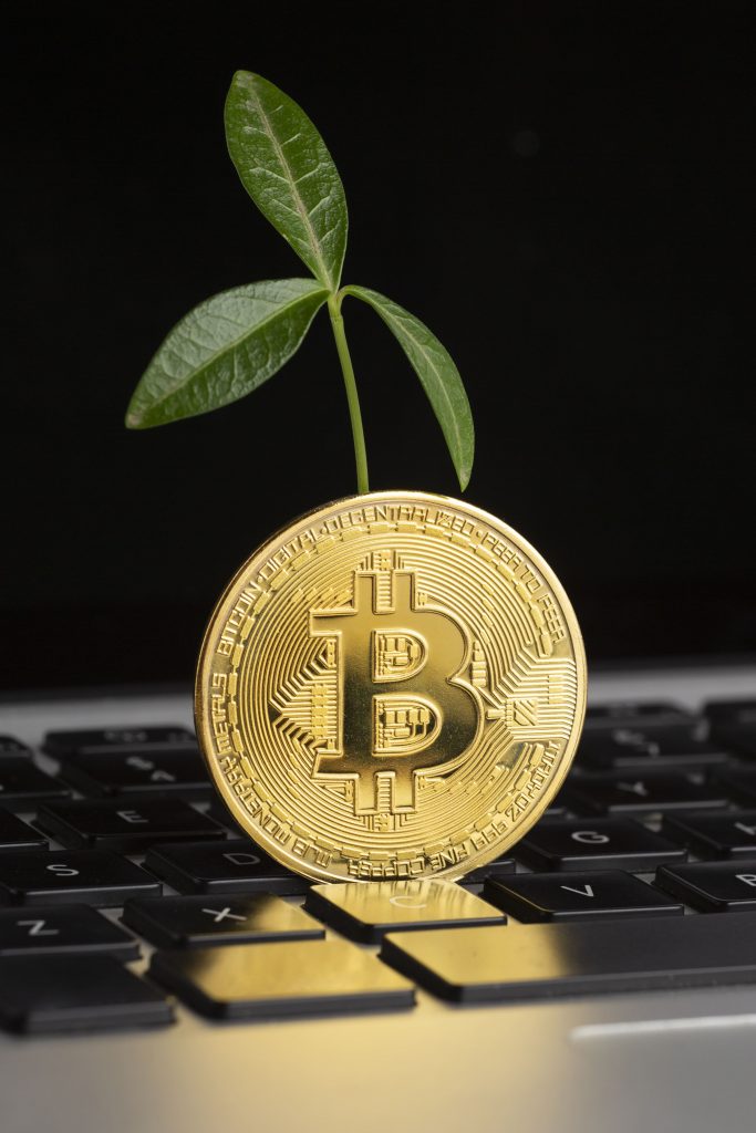 Bitnovo_bitcoin-demand-2025