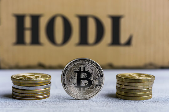 bitnovo_hodl_longterm