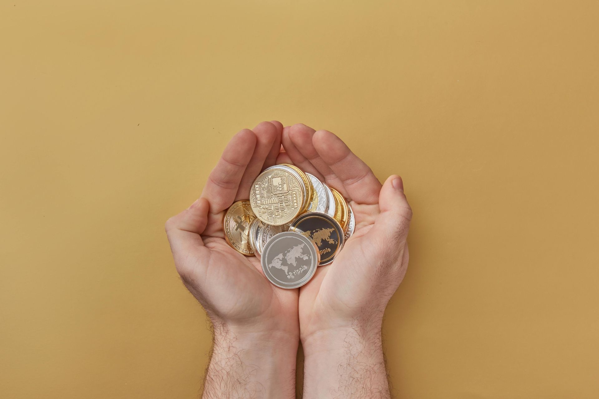 bitnovo_economia_digitale_crescita