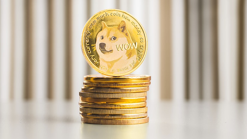 bitnovo_materiel_miner_dogecoin