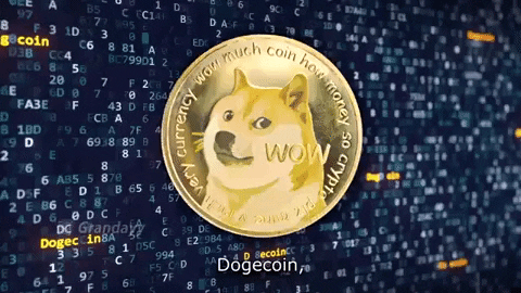 bitnovo_dogecoin_comunidade_dogecoin