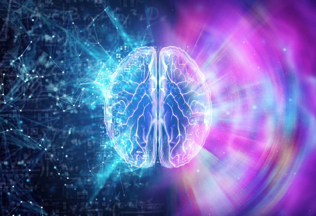 bitnovo_psicologia_investidor