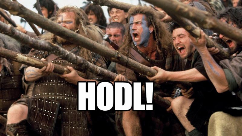 bitnovo_riscos_hodl