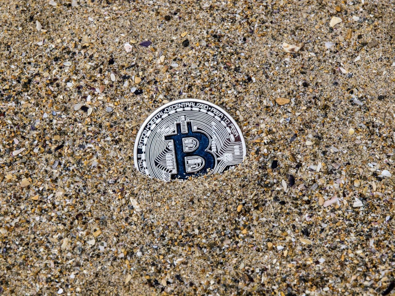 bitnovo_chiens_robots_decharge_chiens_robots_ia