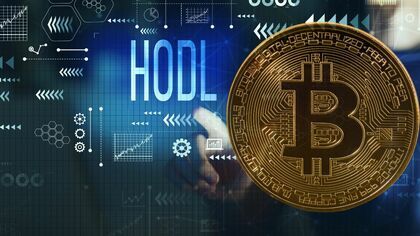 bitnovo_faute_de_frapp_hodl