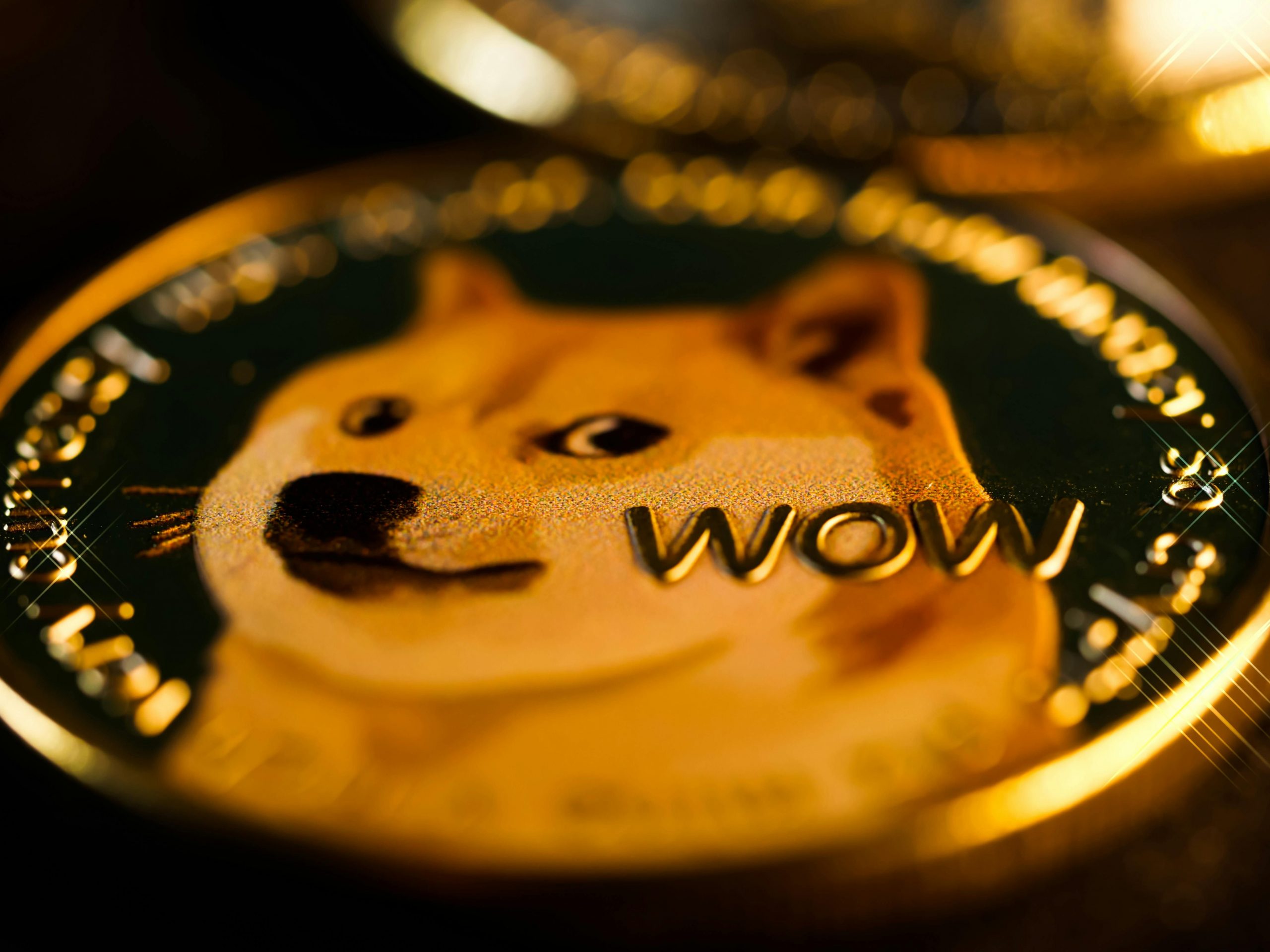 bitnovo_shib_army_shib_army