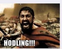 bitnovo_meme_hodl