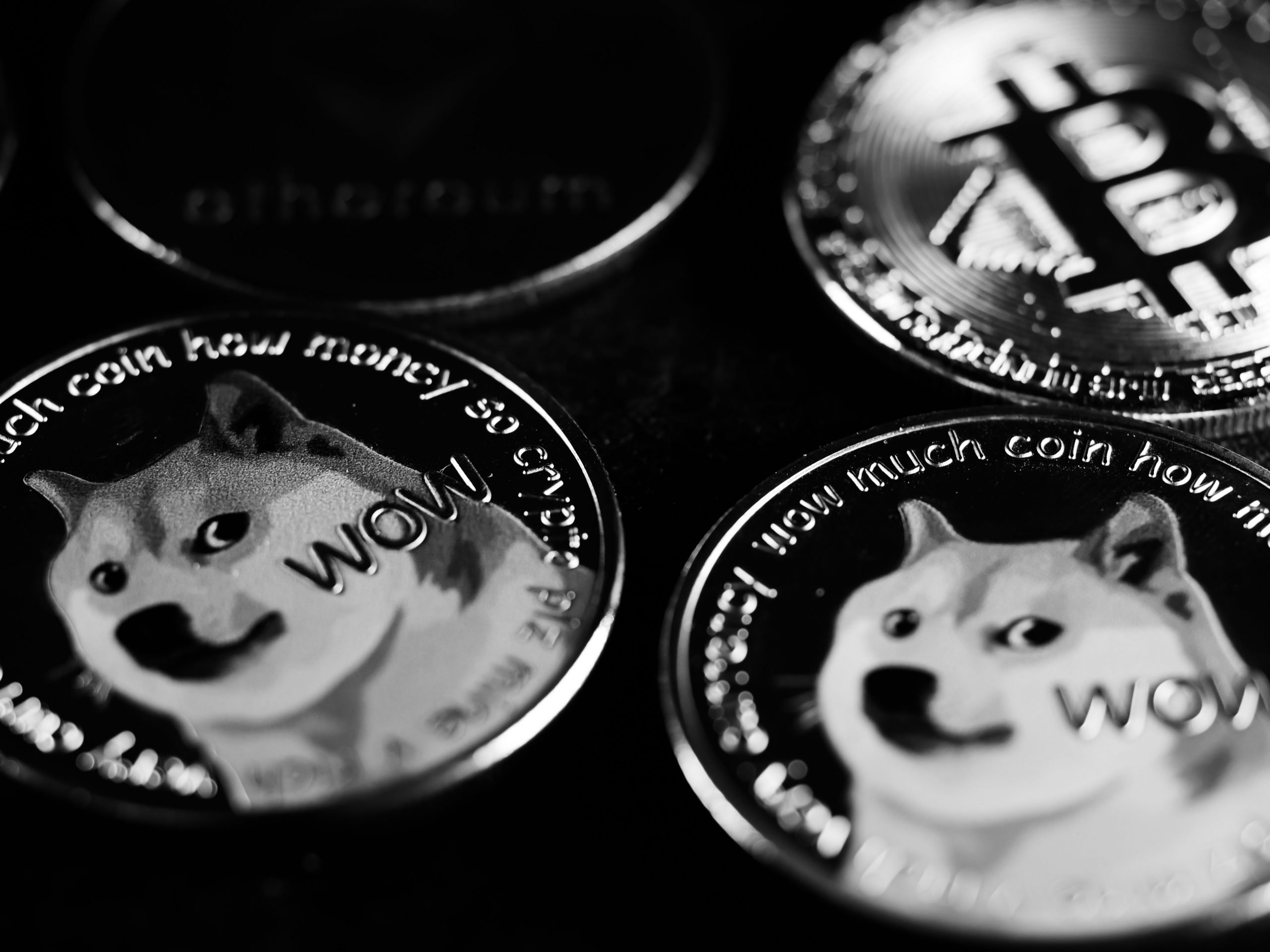 bitnovo_dogecoin_vs_shib_dogecoin_vs_shib